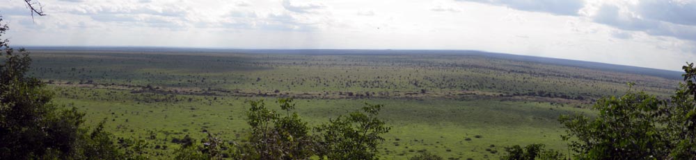Krueger NP