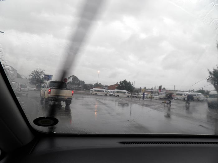 Tumahole im Regen